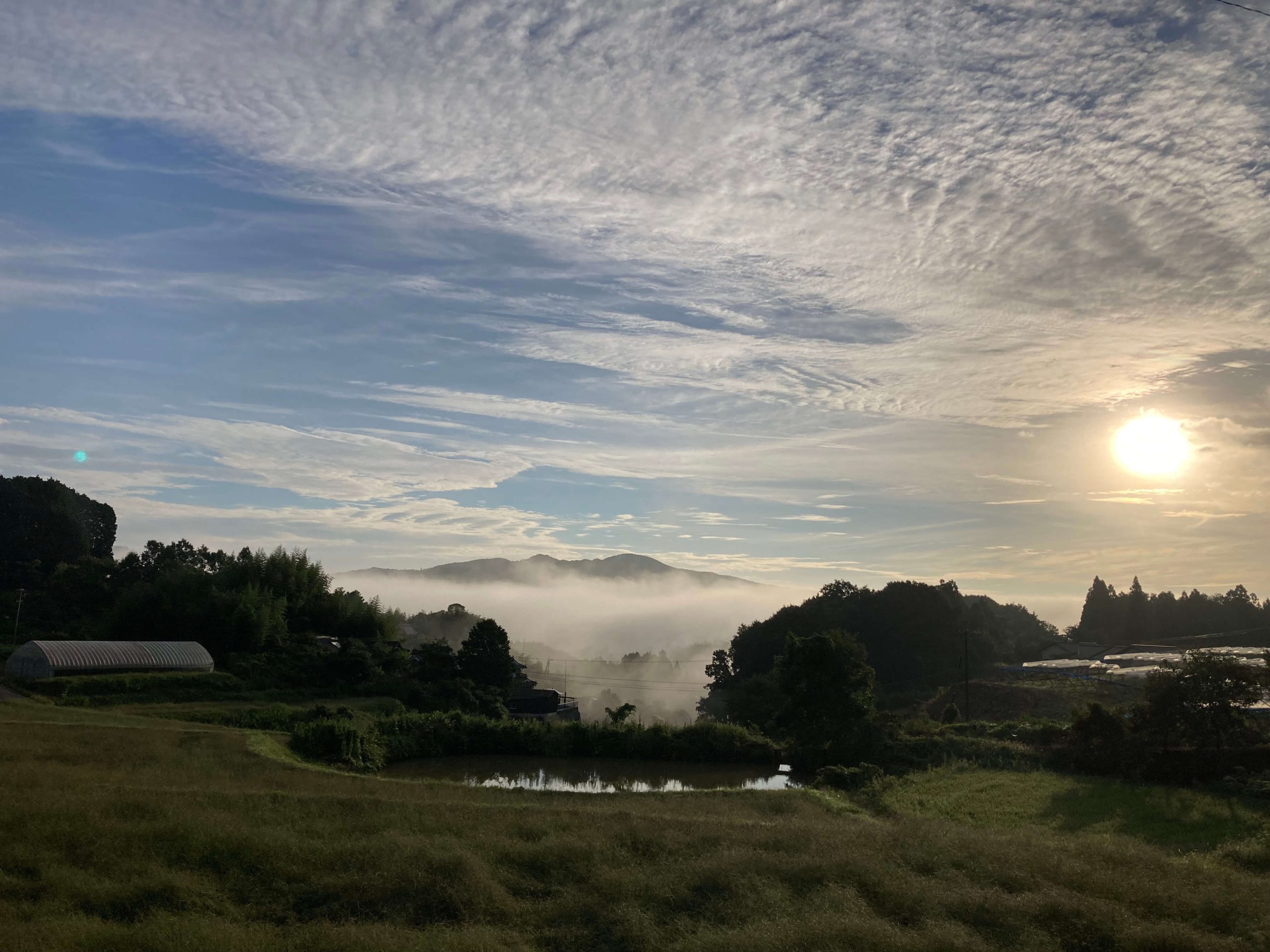 朝霧と鱗雲